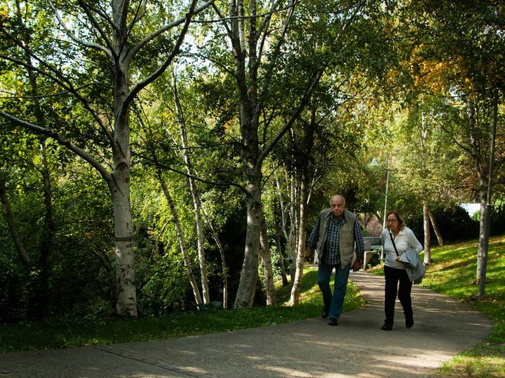 Two people walking along a tree-lined path in a park